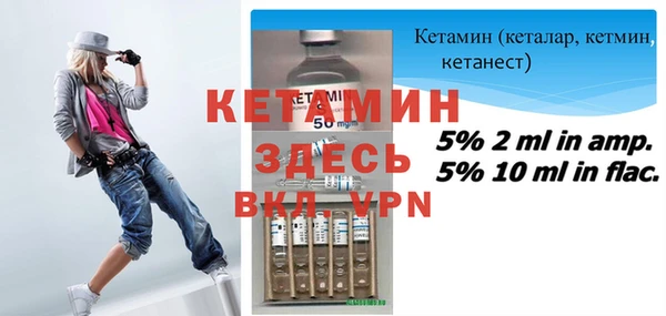 прущие грибы Каменногорск