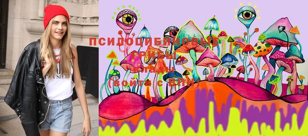 прущие крисы Михайловск
