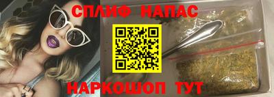 индика Донской