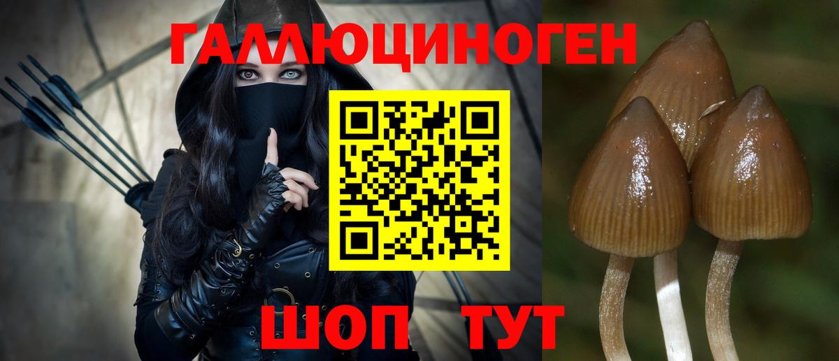 Псилоцибиновые грибы мицелий  Вход с VPN  Костомукша 